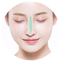 콧대 부위